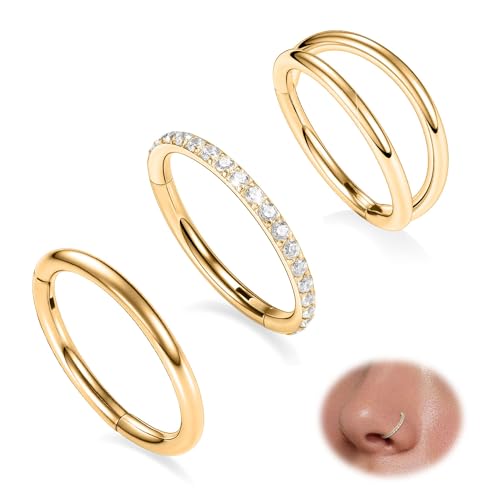 GAGABODY 2 Pcs Nose Rings 22G 20G 18G 16G 14G 12G 10G 8G Surgical Steel Piercing Rings for Nose Septum Cartilage Helix Tragus Conch Rook Daith Lobe from 5mm to 16mm Seamless Hoop Unisex Hinged Earrings - color: Gold-Single&Double&CZ Hoop