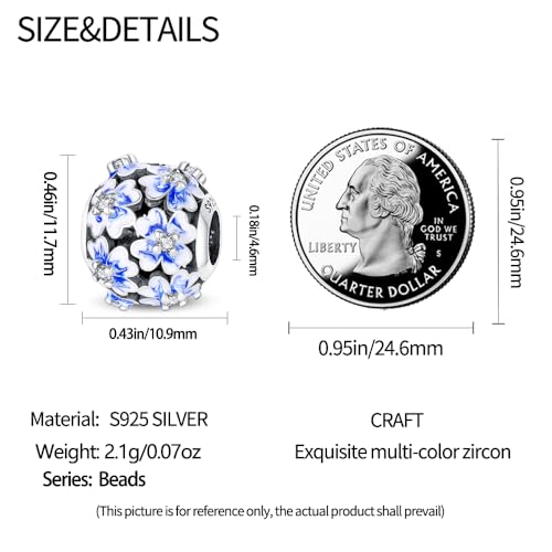 Pandach 925 Sterling Silver Charms for Bracelet&Necklace Dangle Pendant Bead with 5A Cubic Zirconia Stones,Jewelry Beads Gifts for Women - style: Blue travel flower beads