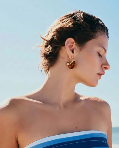 Brown white Hoop Earrings for Women Gold-Plated Irregular Huggie Statement Earrings - color: AMZ-EH23402B-HY