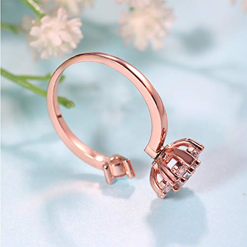 Fidget Rings for Anxiety, Womens Focus Spinner Ring, Discreet Boredom Relieving Ring Stacking Finger Promise Engagement Gift - color: Silver Band + Rose Band