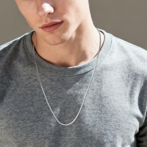 Eusense Stainless Steel Chain Necklace for Men Women Rolo/Wheat/Snake/Box Chain, 2-3MM, 20-24 Inches with Delicate Gift Box - color: Silver, size: 22+2 Inches Length, style: Rolo Chain-2MM Width