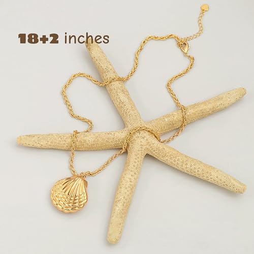 18k Gold Plated Chain Link Necklace for Women, Baroque Pearl/Compass Pendant Necklace - color: Shell