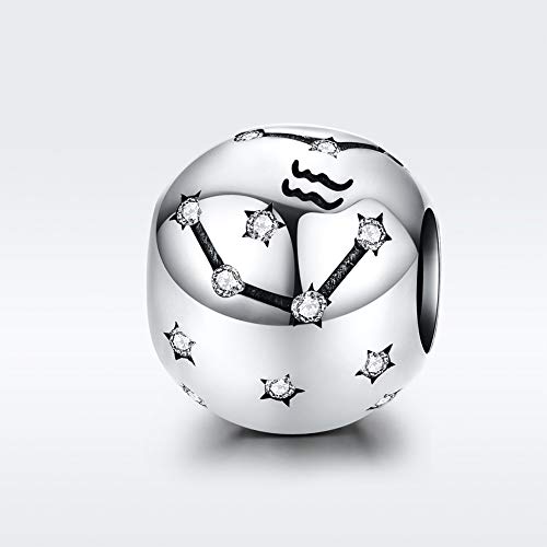Constellation Charm 925 Sterling Silver Birthstone Bead for Pandora Charms Bracelet-Gift for Anniversary Birthday Christmas Day - color: Aquarius(1.20-2.18)