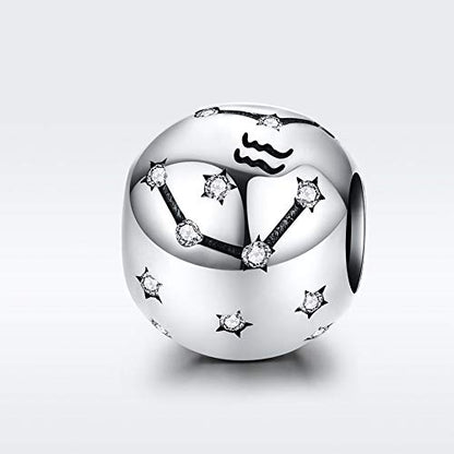 Constellation Charm 925 Sterling Silver Birthstone Bead for Pandora Charms Bracelet-Gift for Anniversary Birthday Christmas Day - color: Aquarius(1.20-2.18)