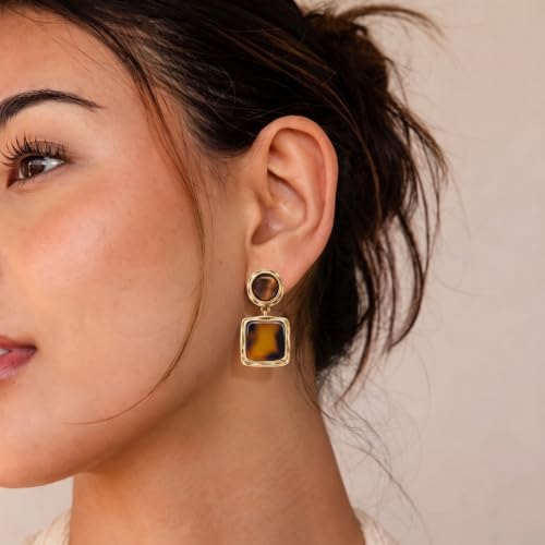 Dr's gift Chunky Leopard Print Earrings for Women 14K Gold Plated Statement Huggie Hoop Earrings Brown Acrylic Tortoise Resin Cheetah Trendy Jewelry - color: Leopard stud