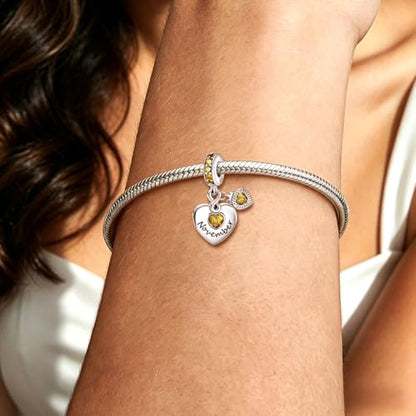 BLUELUNE Birthstone Charms, 925 Sterling Silver Dangle Charm with 5A Cubic Zirconia for Bracelets or Necklaces, Birthday, Mother's Day Present for Women - color: November