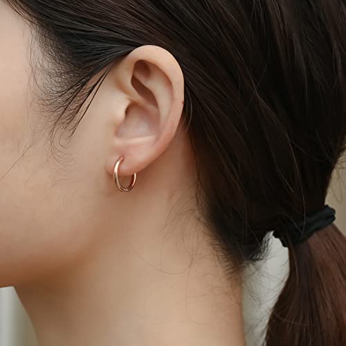 316L Surgical Stainless Steel Small Hoop Earrings 8mm 10mm 12mm 14mm Hypoallergenic Huggie Hoop Earrings Helix Lobes Hinged Sleeper Earrings Cartilage Piercings - color: J: Rose Gold (Diameter 8mm/10mm/12mm/14mm),4 Pairs