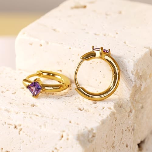 316L Surgical Steel Birthstone Hoop Earrings for Women | Lightweight, 5A Cubic Zirconia, Hypoallergenic, Lead & Nickel Free, 8mm Huggie Hoops - color: 18k gold-plated: 02. February (Amethyst)