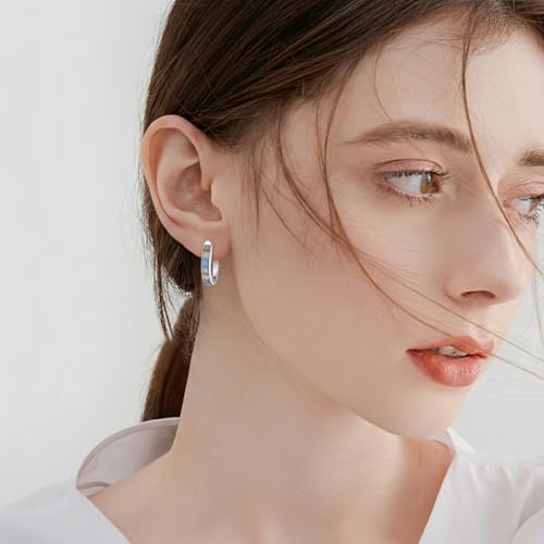 Blue Evil Eye/Celtic/Owl/Moonstone/Paw Print/Cubic Zirconia Hoop Earrings for Women 925 Sterling Silver Women Earrings Jewelry - style: Colorful Rainbow
