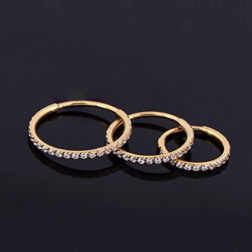 OUFER Gold Hinged Segment Earring Hoop 16G Stainless Steel with Cartilage Earrings Clear CZ Paved Tragus Helix Earrings Cartilage Earring Septum Nose Ring Hoop - color: 20G，10mm