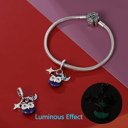 HappyStar 925 Sterling Silver Animal Dogs Charms Pendants fit Pandora Bracelets Necklaces Flowers Sports Travel Charms for Bracelets Women Jrwelry Gifts(with one Spacer Bead Charms) - style: Elf Owl Charm