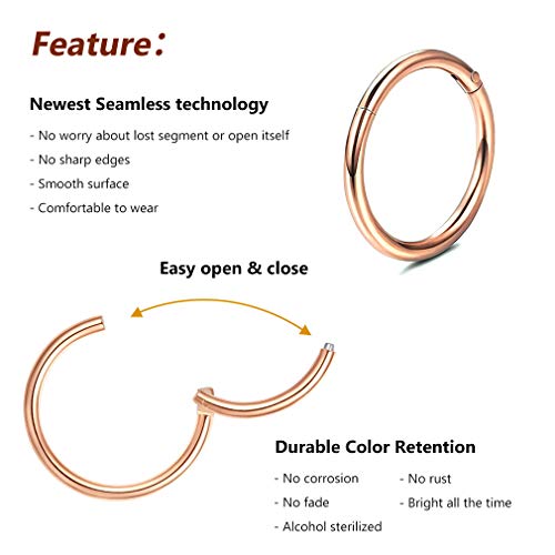 4Pcs 16G 18G 20G Surgical-Steel-Piercing-Ring-Nose-Rings-Hinged-Hoop-Earrings,6mm 8mm 10mm 12mm Seamless Stainless Steel Clicker Eyebrow Septum Piercing Hoop,Sliver Black Gold Rose Gold Rainbow Body Jewelry Set - color: 18G Rose Gold