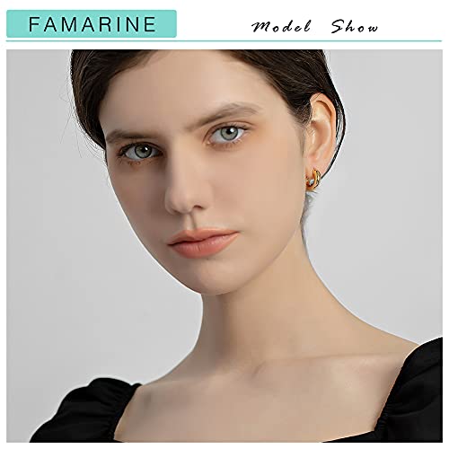 FAMARINE Chunky Thick Hoop Earrings for Women Gold Hoops Huggie Earrings for Men Gift - color: 5/8" Hoop