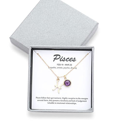 14k Gold Plated Zodiac Birthstone Crystal Pendant Necklace, Horoscope Sign Charm Necklace for Women Birthday Gift - color: Pisces-Feb.