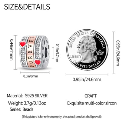 925 Sterling Silver Stopper Clip Charms for Bracelet Necklace Spacer Beads with 5A Cubic Zirconia Mother's Day Christmas DIY Gift for Women(2PCS) - style: Forever