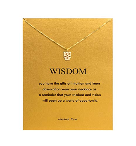 Baydurcan Friendship Anchor Compass Necklace Good Luck Elephant Pendant Chain Necklace with Message Card Gift Card - style: Owl