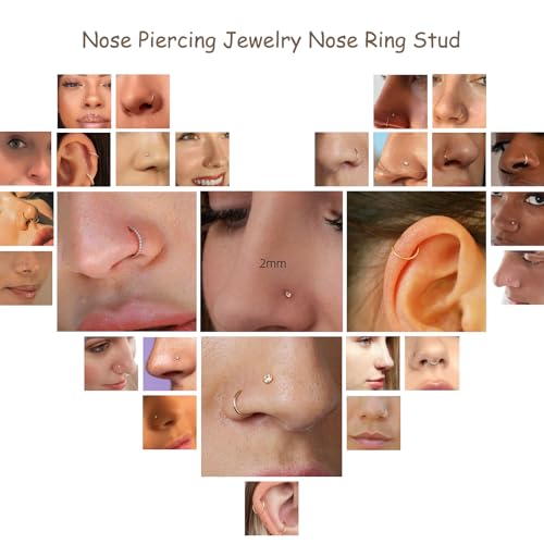 8PCS Titanium Nose Rings Stud, Gold Nose Ring for Women Men Hypoallergenic Nostril Hoops L Shape Nose Studs Corkscrew CZ Nose Piercing Jewelry Silver 18G & 20G Nose Ring Studs 2/2.5/3mm - style: 8PCS -Silver