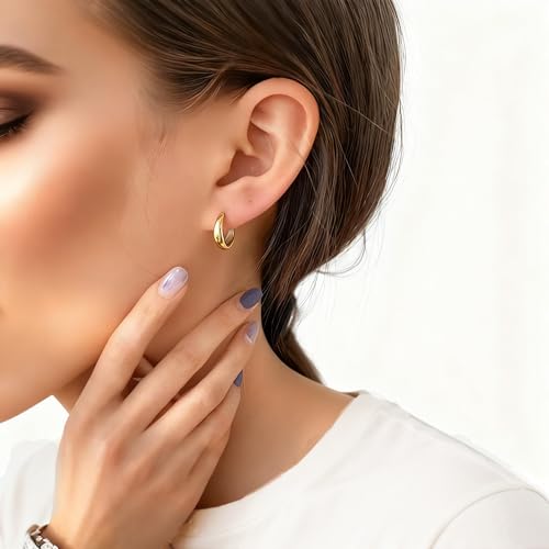 Chunky Small Hoop Earrings for Women 14mm/16mm/19mm Stainless Steel Huggie Earrings Everyday Jewelry Gift for Wife Mom, with Gift Box - color: Gold 19mm