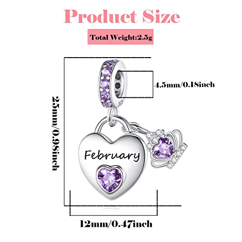 Birthstone Charms for Charms Bracelet: 925 Sterling Silver Heart Dangle Charms for Bracelets and Necklaces, Birthday Mother's Day Christmas Gifts For Women. - color: February