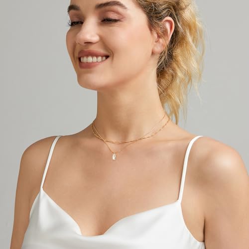 Luxval Diamond Pendant Gold Necklace for Women，Dainty 18k Gold Plated Choker Necklaces Simple Gold Jewelry Gifts for Women - color: Gold-Birthstone Layered