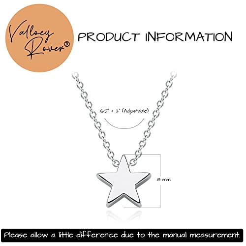 Valloey Rover Gold Necklaces for Women | Dainty 14K Gold/Sterling Silver Plated Cubic Zirconia Star Moon Pendant Necklaces Twist Rope Chain Simple Jewelry for Women - style: Silver-Star
