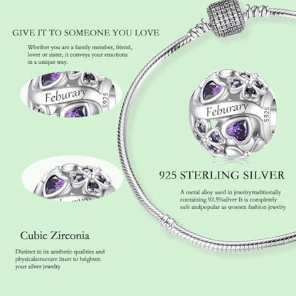 925 Sterling Silver Lucky Clover Birthstone Charms for Bracelets Dangle Pendant with 5A Cubic Zirconia Compatible Pandora Bracelets, Ladies Birthday Gift - style: 2-February