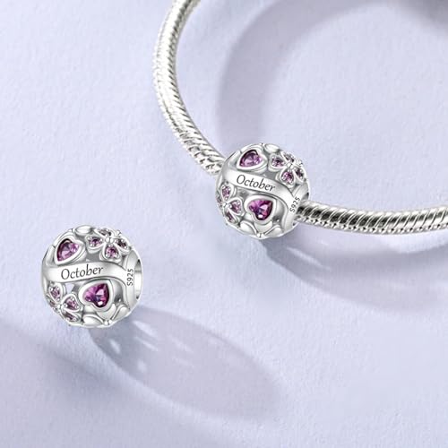 LNQOBU 925 Sterling Silve Lucky Birthstone Charm for Bracelets, With 5A Cubic Zirconia Birthday Charms Dangle Pendant Bead for Pandora Bracelets and Necklaces - color: J1-October