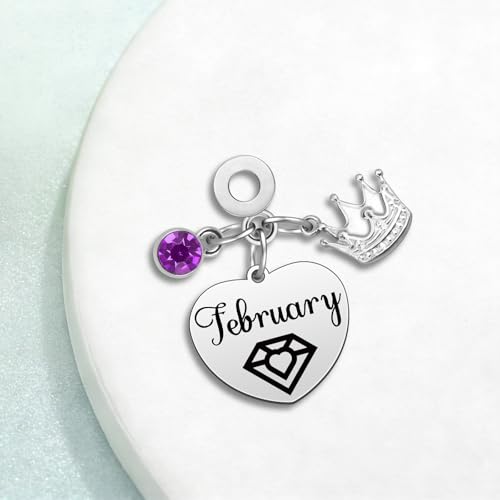 Birthday Gifts for Women Birthstone Charms for Bracelets Necklaces Jewelry Gift for Mom Wife Daughter Granddaughter Niece Sister Girlfriend - color: February