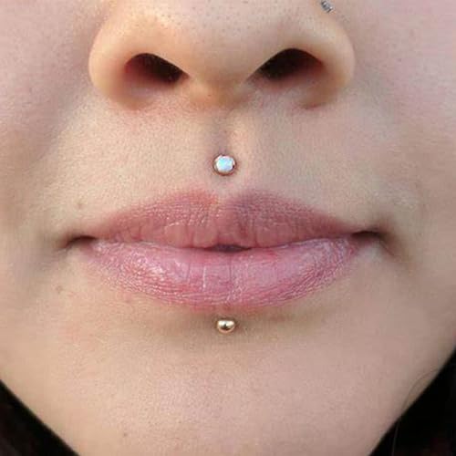 16G Lip Labret Medusa Rings Studs Internally Threaded 316L Surgical Steel Snake Bite Lip Rings Flat Back Catilage Tragus Helix Daith Earrings Piercings Jewelry for Women Men 8mm - color: 16G-8mm Bars