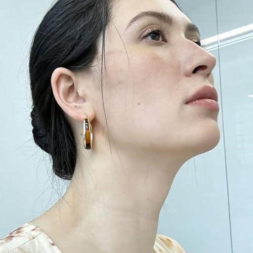 14K Gold Plated Chunky Hoop Earrings for Women Vintage Leopard Print Hoops Large Round Hoop Earrings Jewelry - style: Hoop F