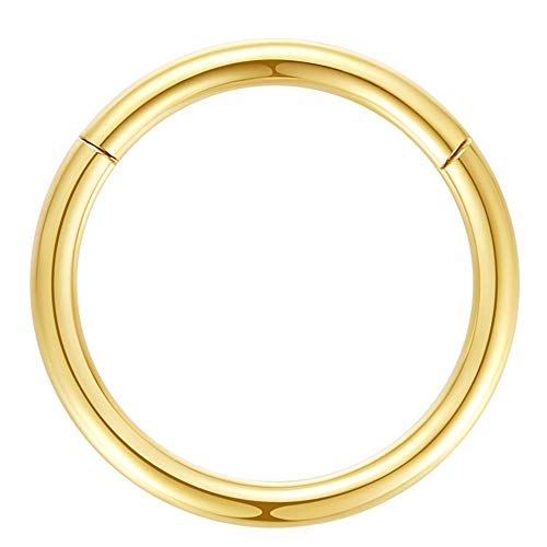 ORANGELOVE Hypoallergenic Nose Rings 20G 18G 16G 14G 12G 10G 8G 316l Surgical Steel Septum Jewelry Hinged Segment Ring Body Piercing Nose Hoop Lip Rings Nose Helix Cartilage Rook Earrings - color: Gold, size: 1pc 8 Gauge 16mm