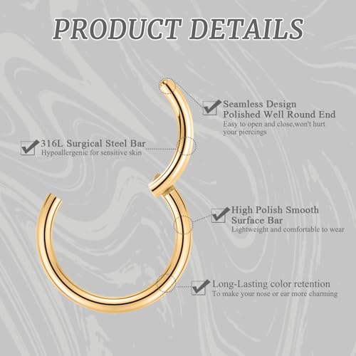 GAGABODY 2 Pcs Nose Rings 22G 20G 18G 16G 14G 12G 10G 8G Surgical Steel Piercing Rings for Nose Septum Cartilage Helix Tragus Conch Rook Daith Lobe from 5mm to 16mm Seamless Hoop Unisex Hinged Earrings - color: Gold