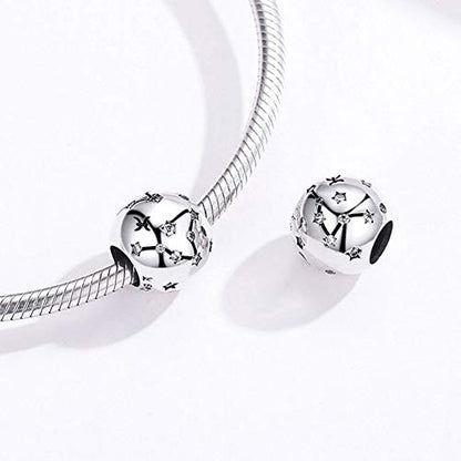 Constellation Charm 925 Sterling Silver Birthstone Bead for Pandora Charms Bracelet-Gift for Anniversary Birthday Christmas Day - color: Pisces (2.19-3.20)