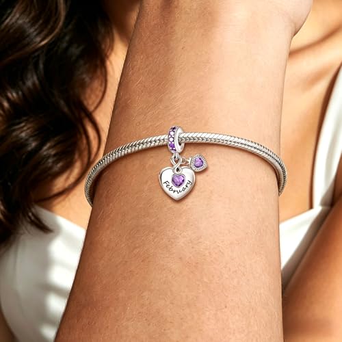 BLUELUNE Birthstone Charms, 925 Sterling Silver Dangle Charm with 5A Cubic Zirconia for Bracelets or Necklaces, Birthday, Mother's Day Present for Women - color: February