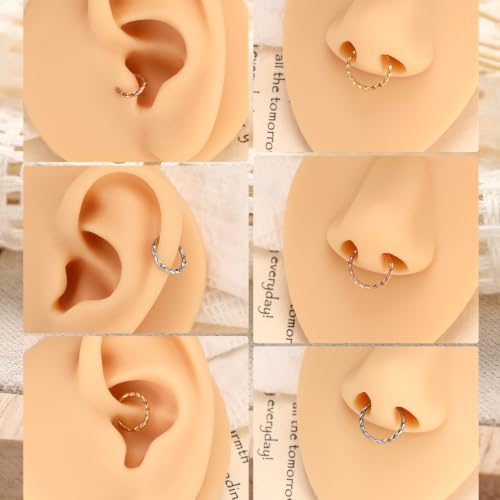 PEAKLINK 16G Arrow Nose Hoop Ring Conch Helix Cartilage Earring Hinged Segment Seamless Clicker Ring Surgical Steel Septum Jewelry Rook Daith Lip Tragus Piercing Jewelry for Women Men - color: Front Arrow,Silver