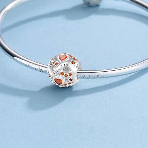 HappyStar 925 Sterling Silver Birthstone Charms fits Charms Bracelets for Woman，with 5A Cubic Zirconia Dangle Pendant Bead,Happy Birthday Charms for Bracelet and Necklace - color: C1 Infinity Symbol January Birthstones