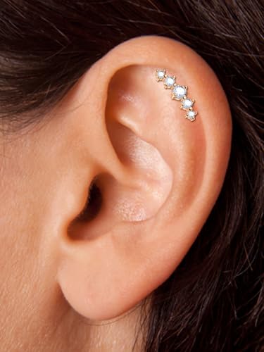 1pc 16G Cartilage Helix Tragus Earrings Jewelry Stainless Steel 6mm Earring Stud Flat & Ball Back Stud Earrings for Women - style: B -ball back, rose gold