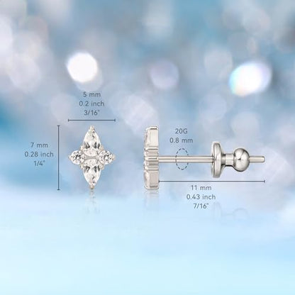 Limerencia F136 Implant Grade Titanium Cubic Zirconia Women Stud Earrings | 20G Hypoallergenic medical grade titanium earrings,G23 Small Dainty Earrings for Women's Sensitive Ears Lobes