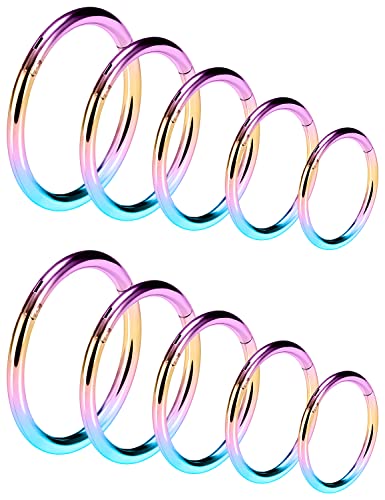 Vsnnsns 14G 16G Septum Nose Rings Hoops Lip Ring Piercing Jewelry 316L Surgical Steel Hinged Segment Clicker Cartilage Tragus Helix Conch Rook Daith Lobe Earrings Hoops Piercing Jewelry for Women Men - color: 16G-Rainbow