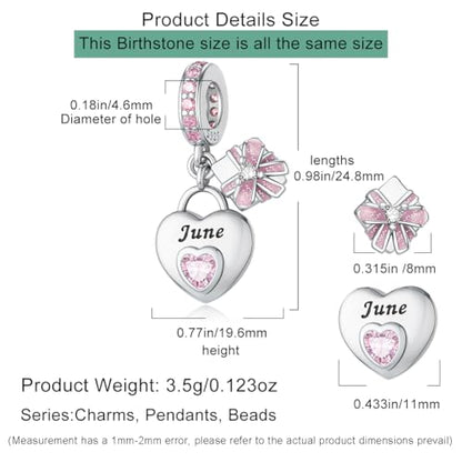 HappyStar 925 Sterling Silver Happy Birthday Bead Charm Love Heart Shape Birthstone Charms for Bracelets Dangle Pendant with 5A Cubic Zirconia Compatible Pandora Bracelets Jewelry Gift for Women - color: 6-June Birthstone Charms