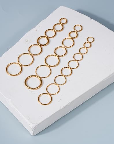 316L Stainless Steel Hoop Earrings, Hinged Segment Earrings Hoop, Cartilage Helix Conch Daith Septum Earrings Hoops - color: Gold, size: 1.6*8mm