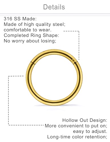 10PCS 20G/18G Surgical Steel Hinged Clicker Segment Nose Rings Hoops Septum Lip Ring Hoop Cartilage Tragus Helix Sleeper Earrings Piercing Jewelry for Women Men 6mm 7mm 8mm 9mm 10mm - color: 20g,6/7/8/9/10mm,goldtone