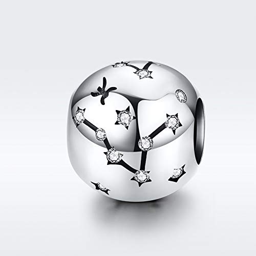 Constellation Charm 925 Sterling Silver Birthstone Bead for Pandora Charms Bracelet-Gift for Anniversary Birthday Christmas Day - color: Pisces (2.19-3.20)