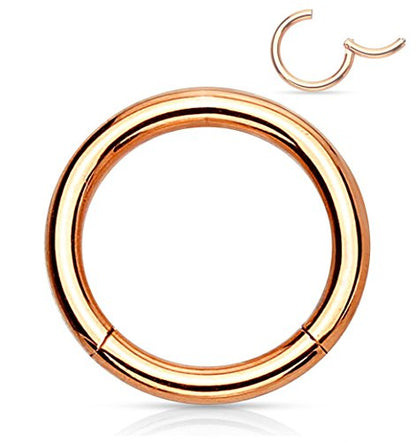 Forbidden Body Jewelry 316L Surgical Steel Hinged Seamless Nose Rings Hoop 14G 16G 18G, Diameter 6mm 8mm 10mm 12mm, Gold/Rose Gold/Silver/Black/Rainbow Colors. - style: 14g 10mm - Rose Gold
