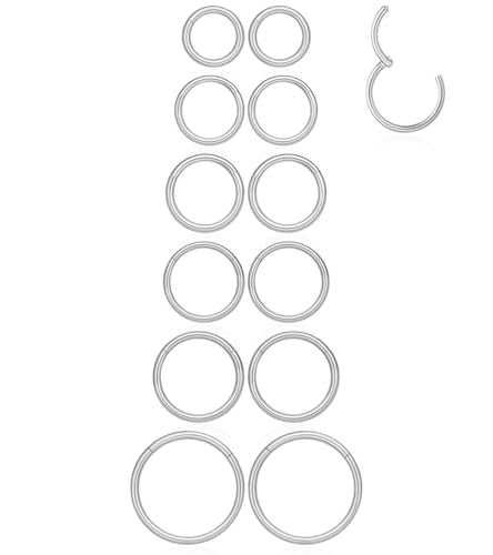 16G 6MM 7MM 8MM 9MM 10MM 12MM Hinged Clicker Septum Rings Pack Surgical Stainless Steel 16 Gauge Nose Ring Daith Rook Tragus Helix Cartilage Conch Hoop Earrings Piercing Jewelry for Women Men - color: Silver Tone