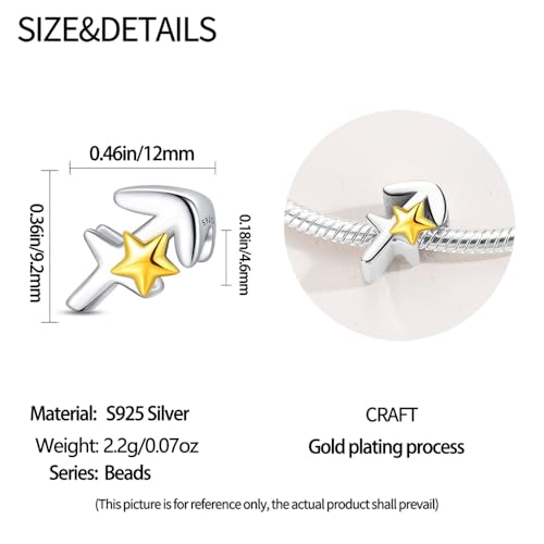 925 Sterling Silver 12 Astrological Signs Charm for Bracelets and Necklace Happy Birthday Charms for Bracelet and Necklace Valentine's Day Mother's Day Gift - style: Sagittarius Charm