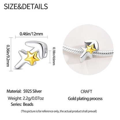 925 Sterling Silver 12 Astrological Signs Charm for Bracelets and Necklace Happy Birthday Charms for Bracelet and Necklace Valentine's Day Mother's Day Gift - style: Sagittarius Charm
