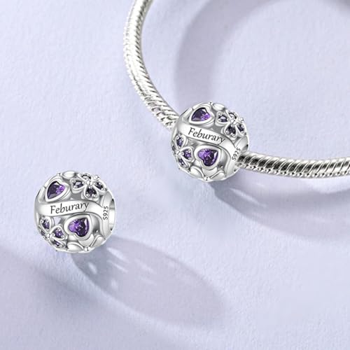 LNQOBU 925 Sterling Silve Lucky Birthstone Charm for Bracelets, With 5A Cubic Zirconia Birthday Charms Dangle Pendant Bead for Pandora Bracelets and Necklaces - color: B1-February