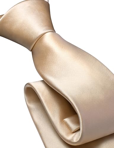 Branduce 3.15"（8cm） Mens Solid Satin Tie Pre-tied Adjustable Zipper Necktie for Business and Wedding - color: Champagne