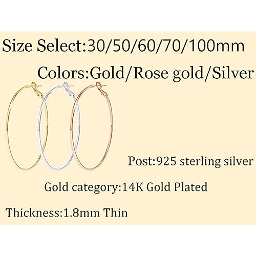 Cocadant Big Gold Hoop Earrings for Women Girls,Dainty 14k Gold Hypoallergenic Rose Gold Silver Hoop Earrings with 925 Sterling Silver Post,Stainless Steel Large Hoop Earrings - style: 30mm-Gold,Silver and Rose gold